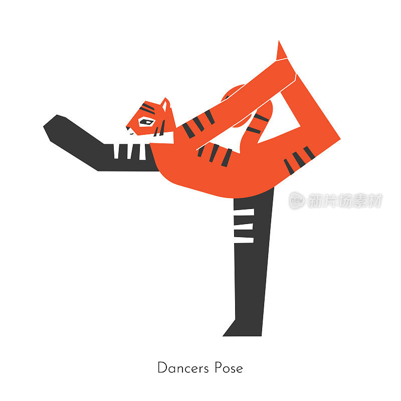 矢量孤立概念与卡通动物学习平衡瑜伽练习- Natarajasana。韩国老虎做了舞蹈之王的姿势。背部弯曲的伸展运动